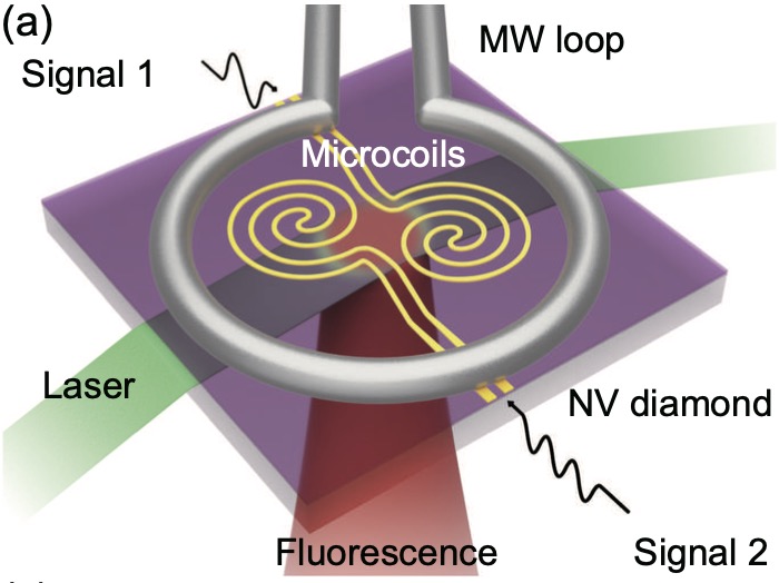 TOC graphic: quantum diamond microscope for narrowband magnetic imaging with high spatial and spectral resolution