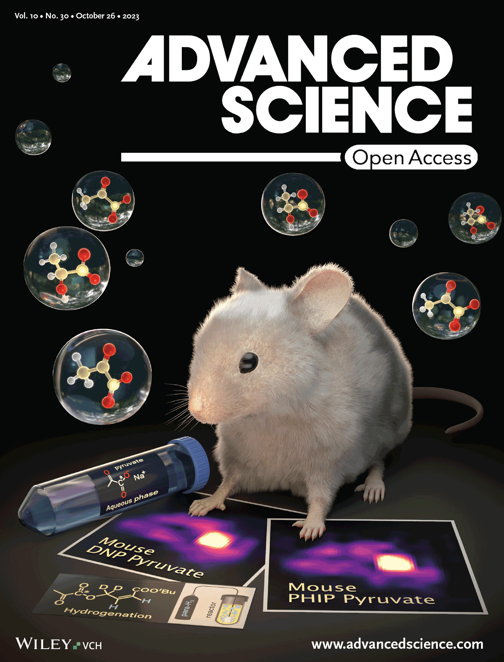 Advanced Science cover featuring parahydrogen-polarized pyruvate